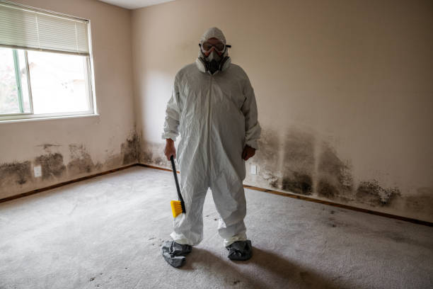 Best Professional Mold Removal  in Salem Lakes, WI